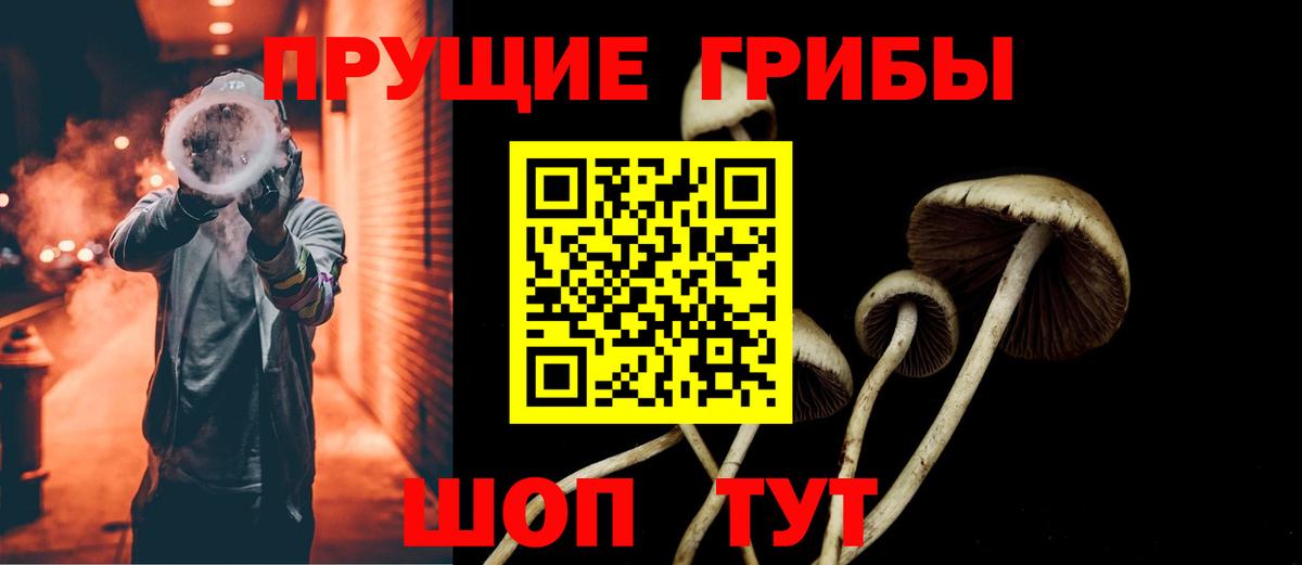 Галлюциногенные грибы Psilocybine cubensis  сколько стоит  Назрань  Вход с VPN  Псилоцибиновые грибы мицелий 
